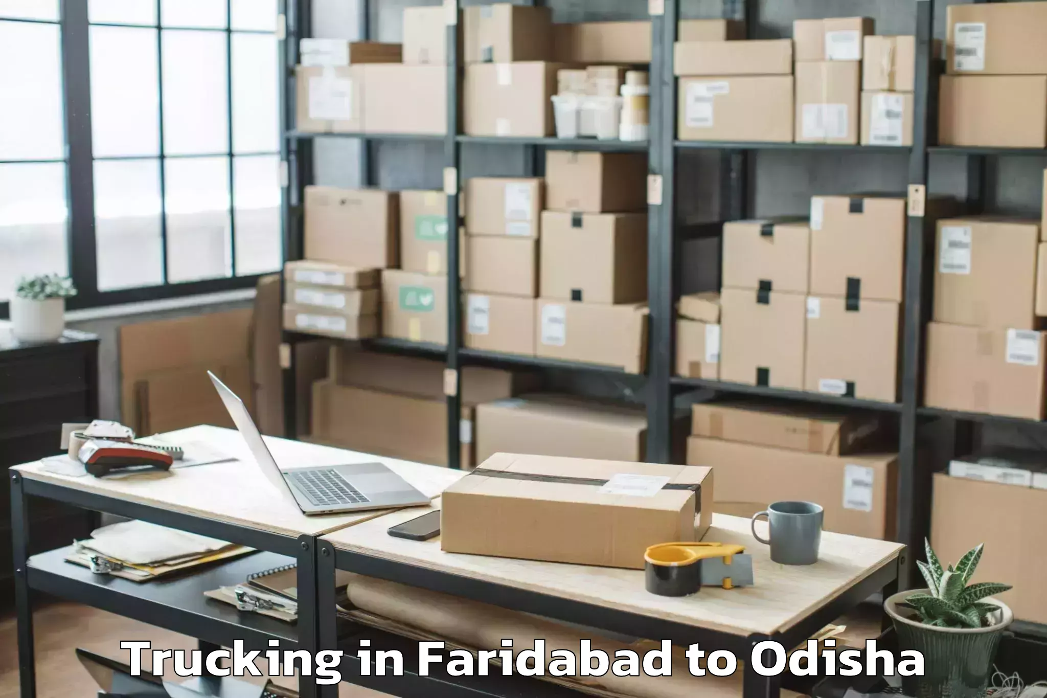 Professional Faridabad to Dasapalla Trucking